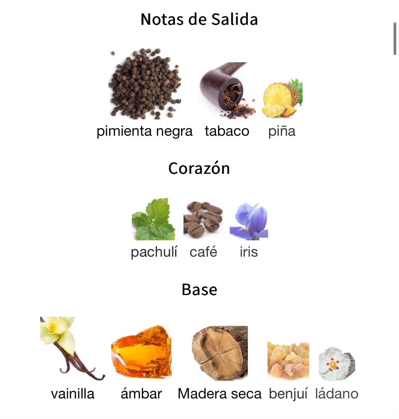 Miniatura de Asad