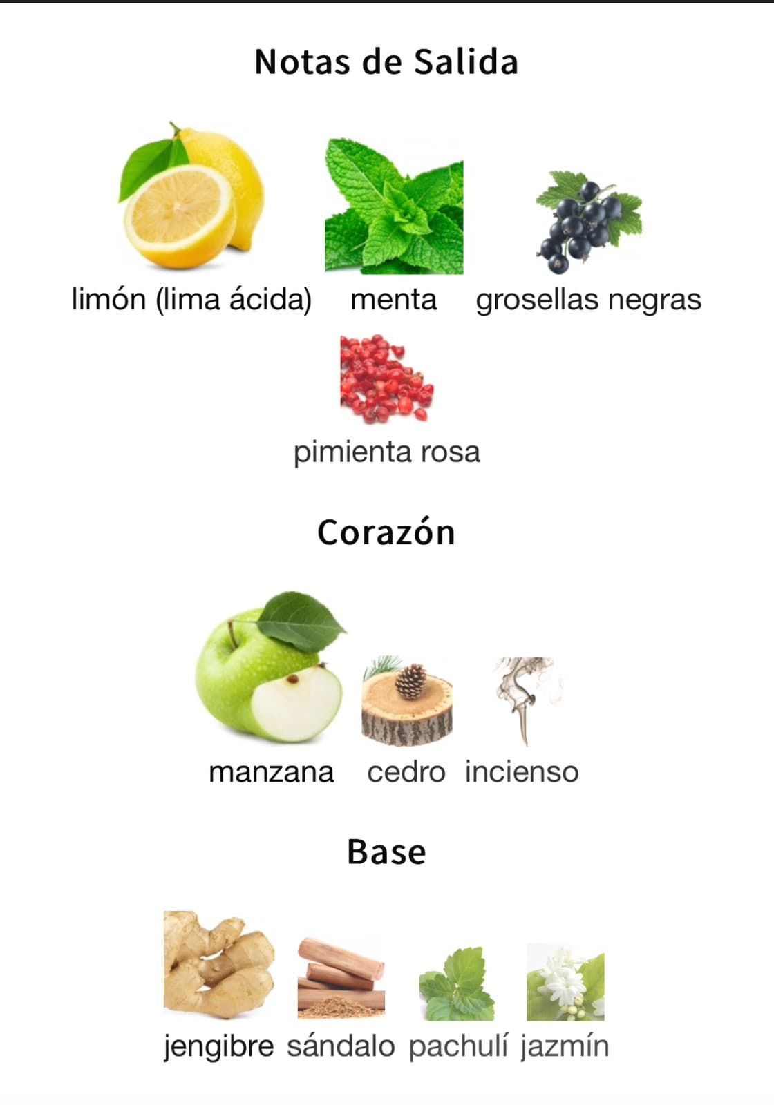 Miniatura de 9 Am Dive