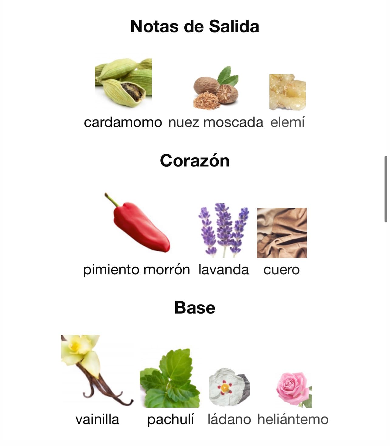 Miniatura de 9 PM Elixir