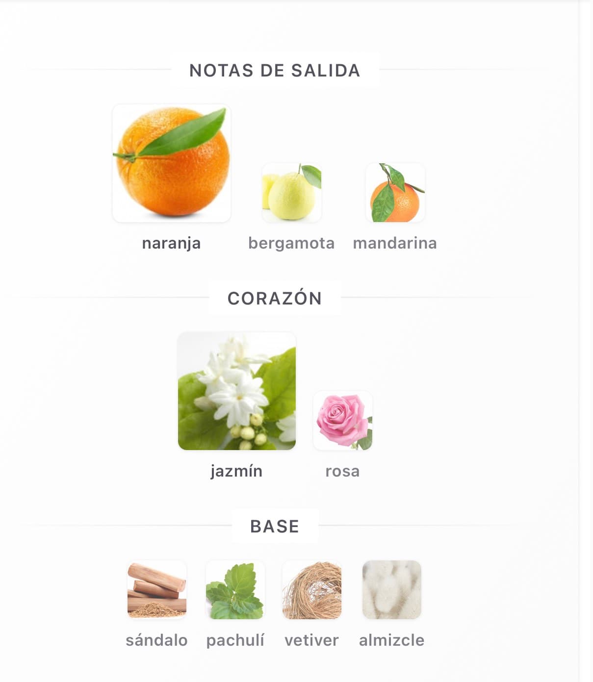 Miniatura de Al Andaaleb Flora