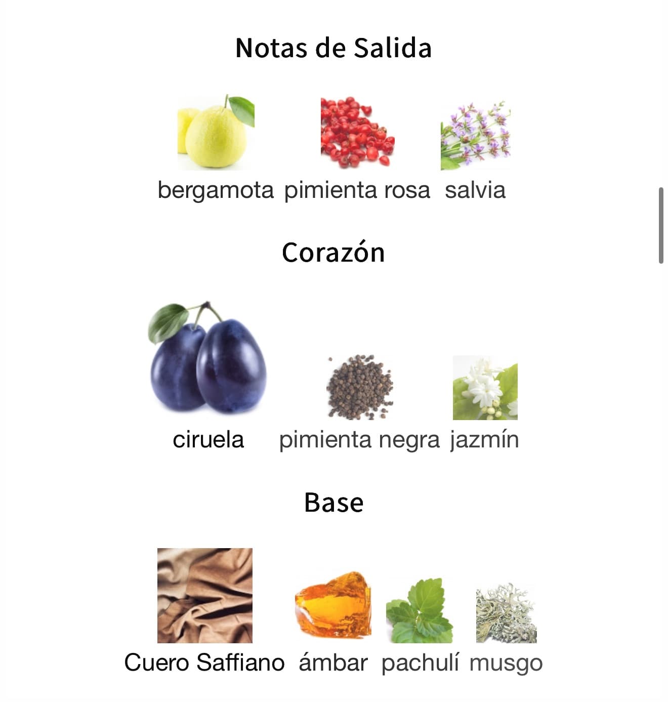 Miniatura de Al Nashama