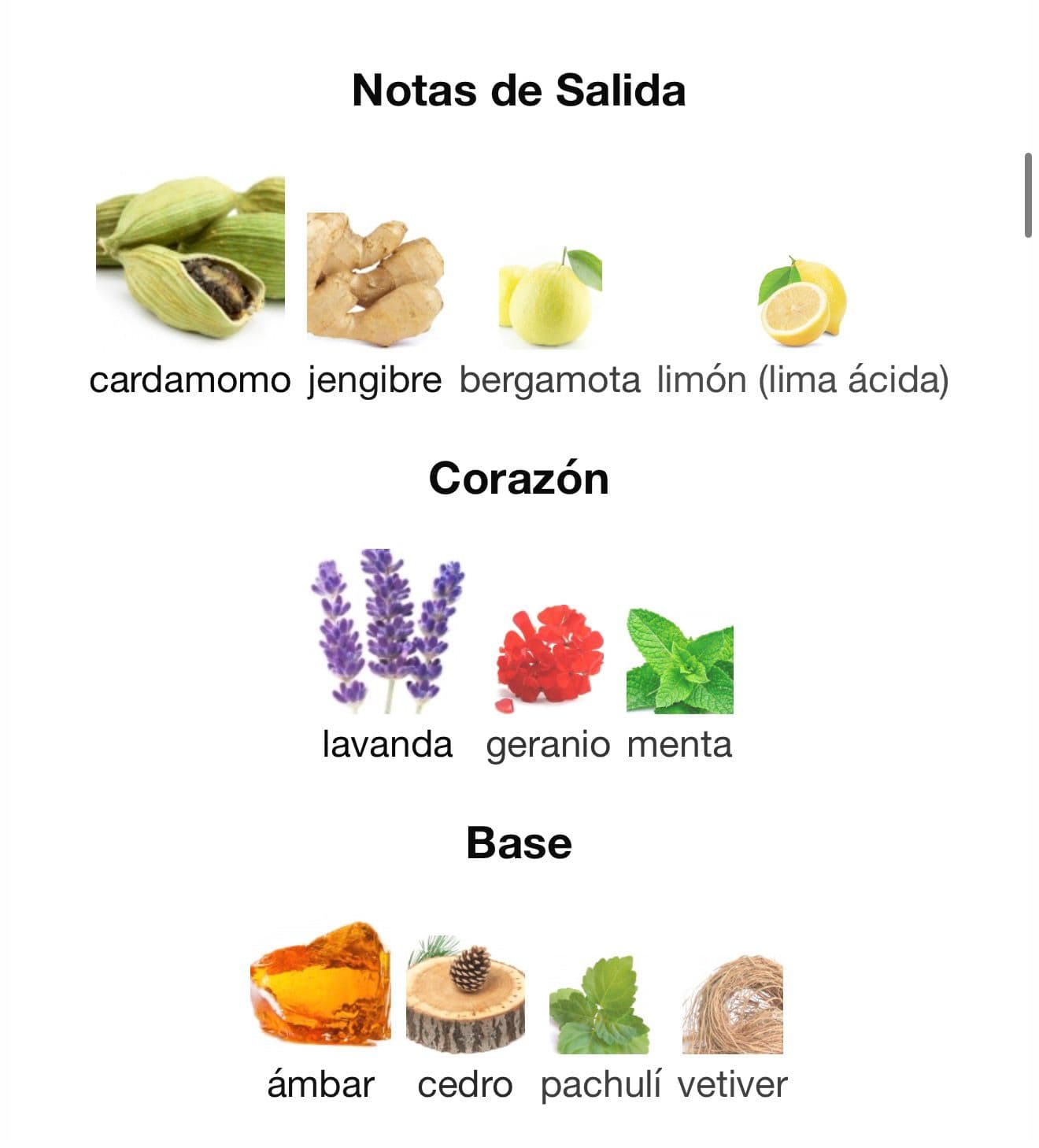 Miniatura de Al Nashama Caprice