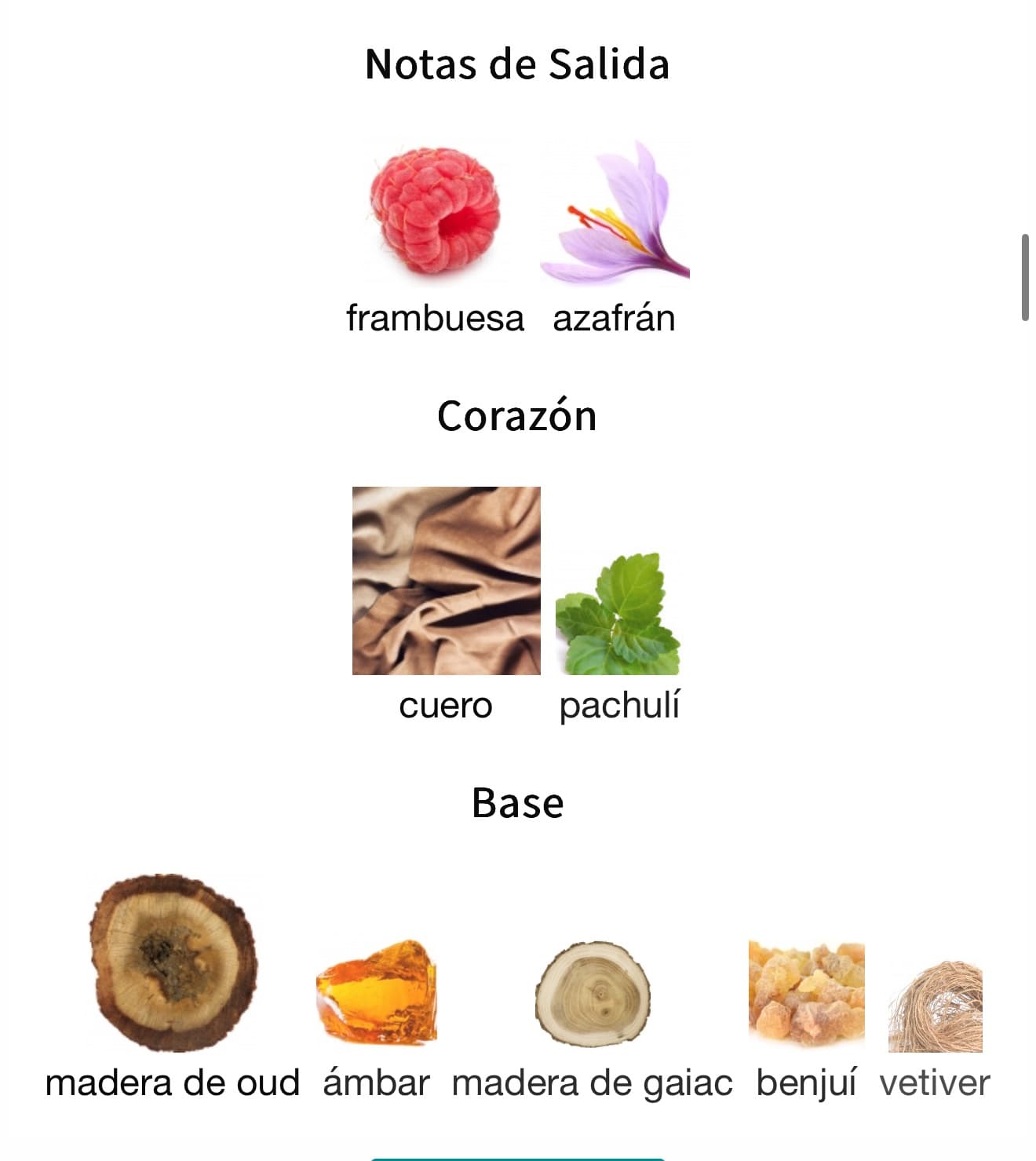 Miniatura de Al Quiam Gold