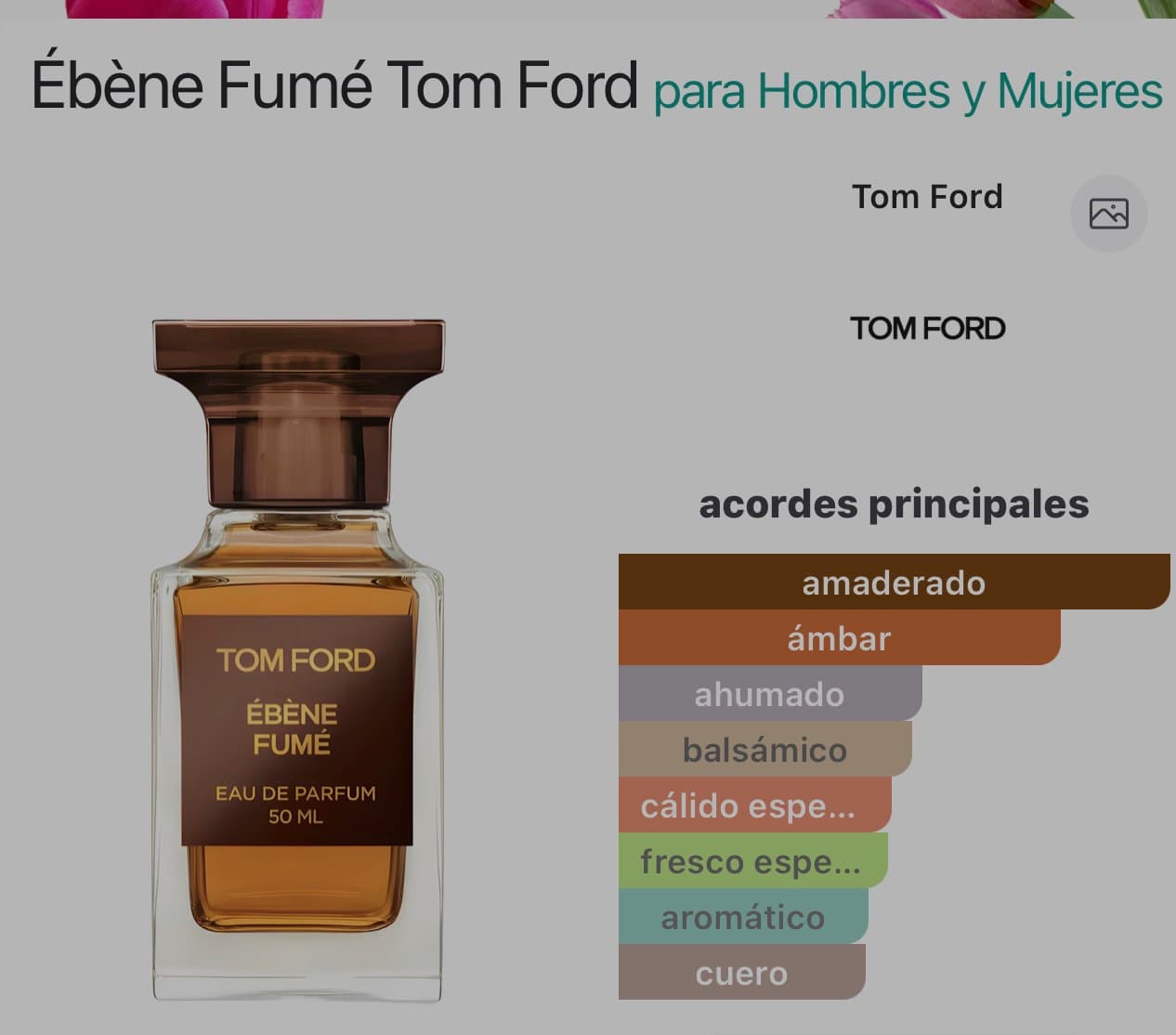 Miniatura de Alpha
