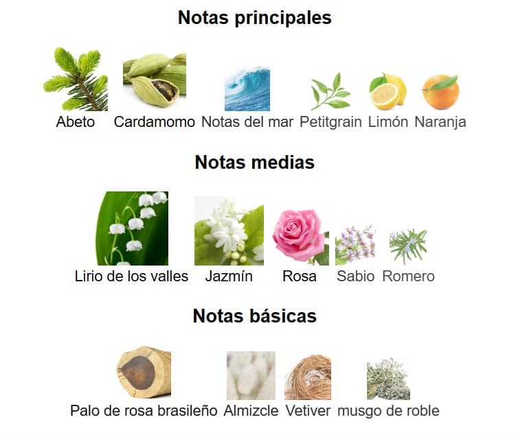 Miniatura de Amazon Rainfall