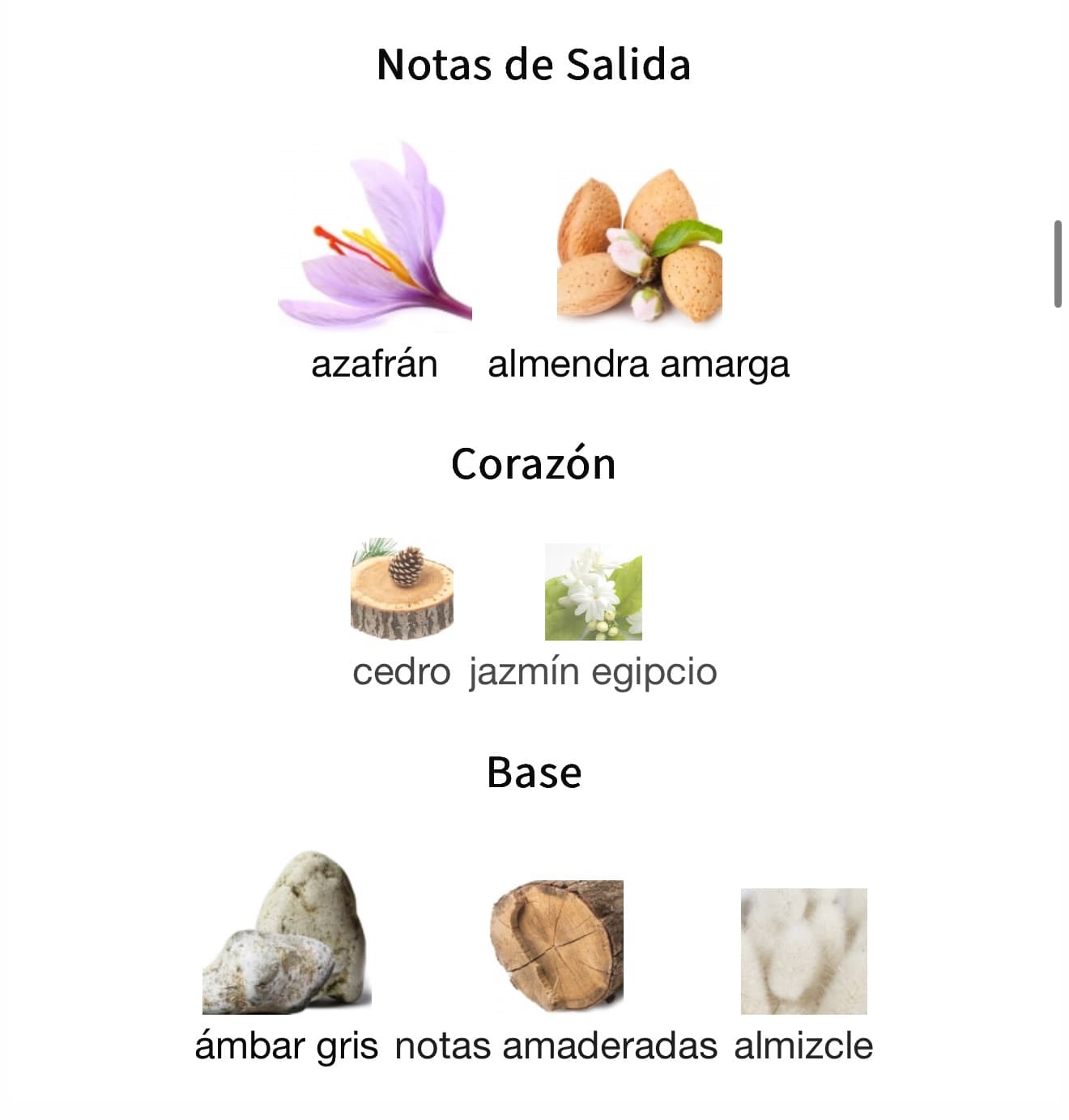 Miniatura de Amber Oud Ruby Edition
