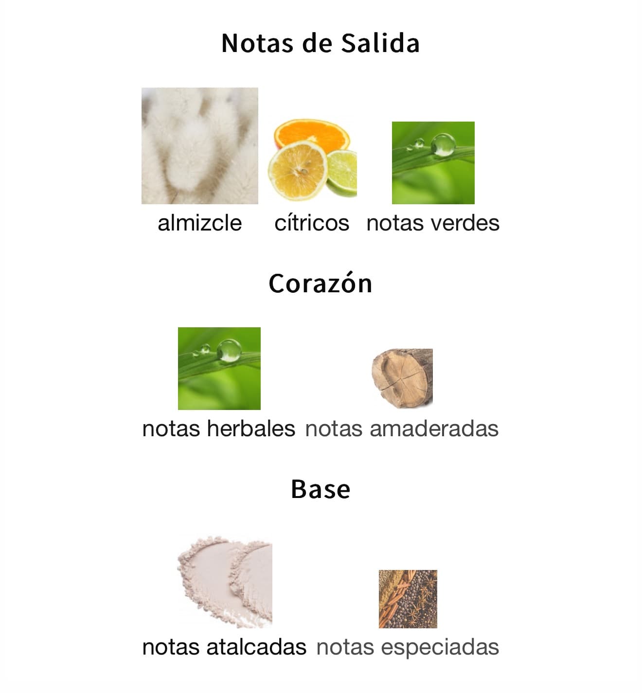 Miniatura de Ameerati
