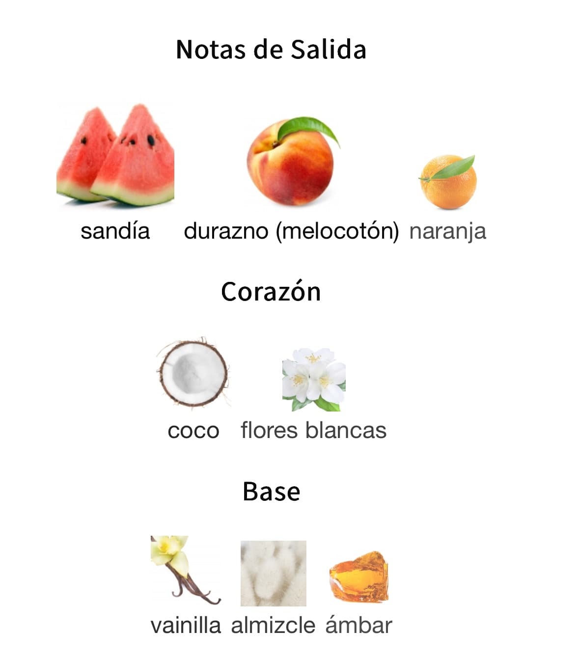 Miniatura de Ana Abiyedh Coral