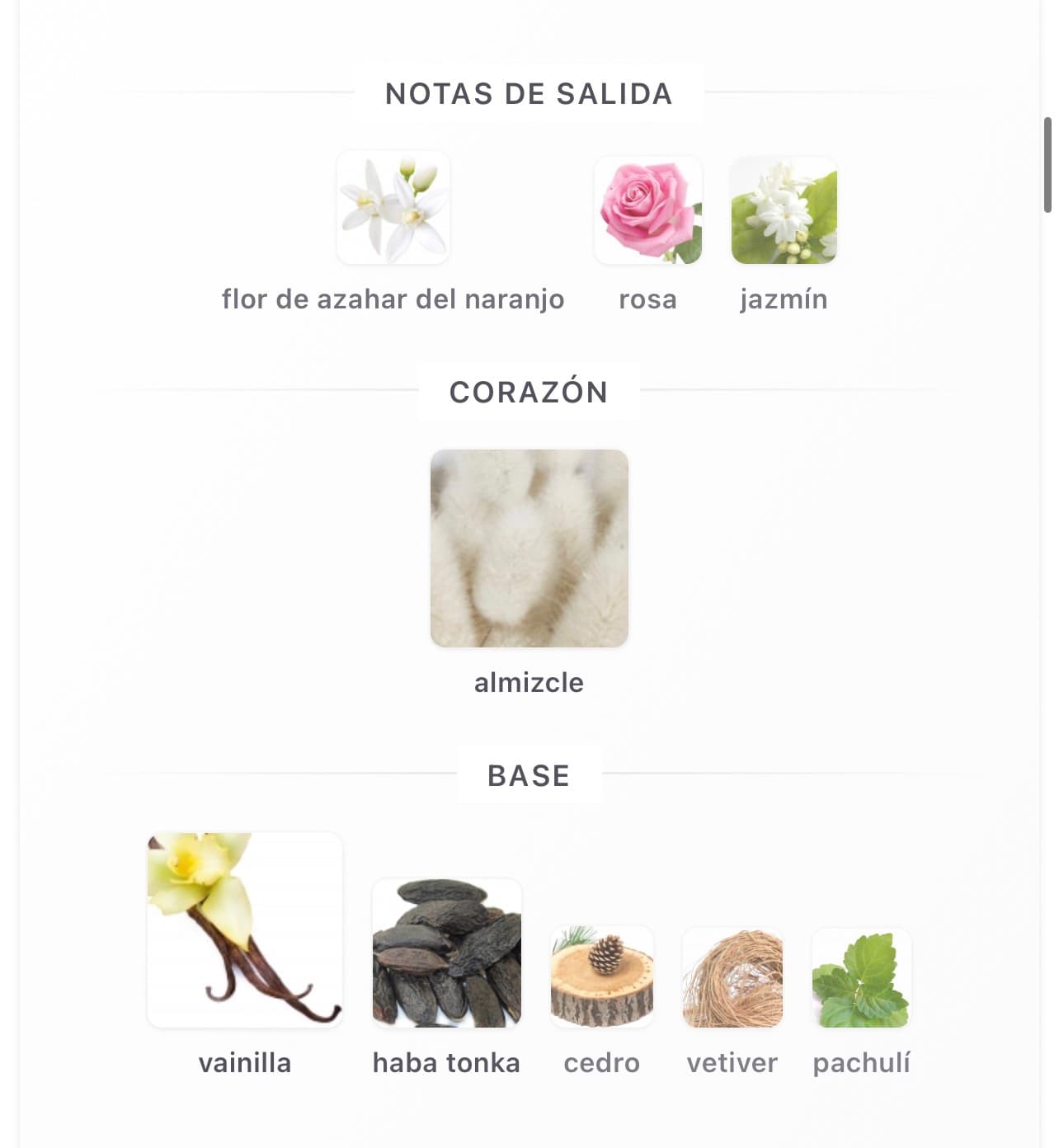 Miniatura de Ana Abiyedh Poudrée