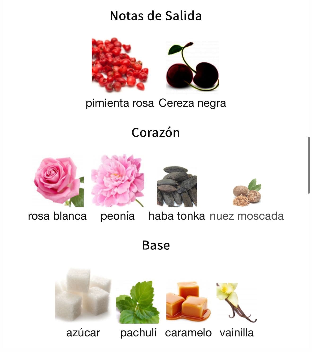 Miniatura de Ana Abiyedh Scarlet