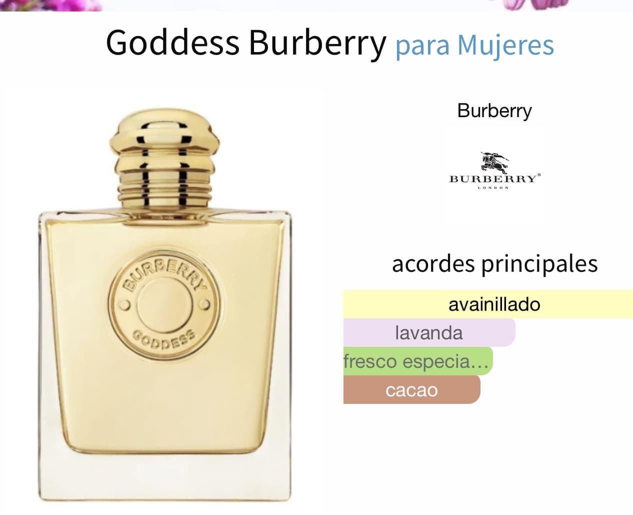Miniatura de Angham
