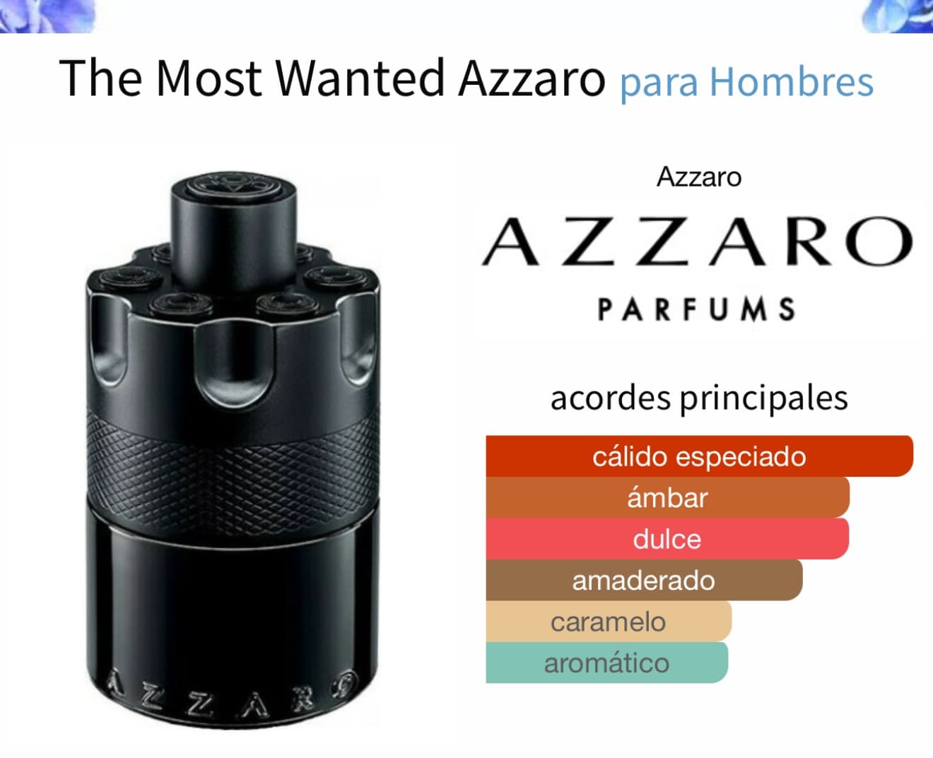 Miniatura de Ansaam Silver