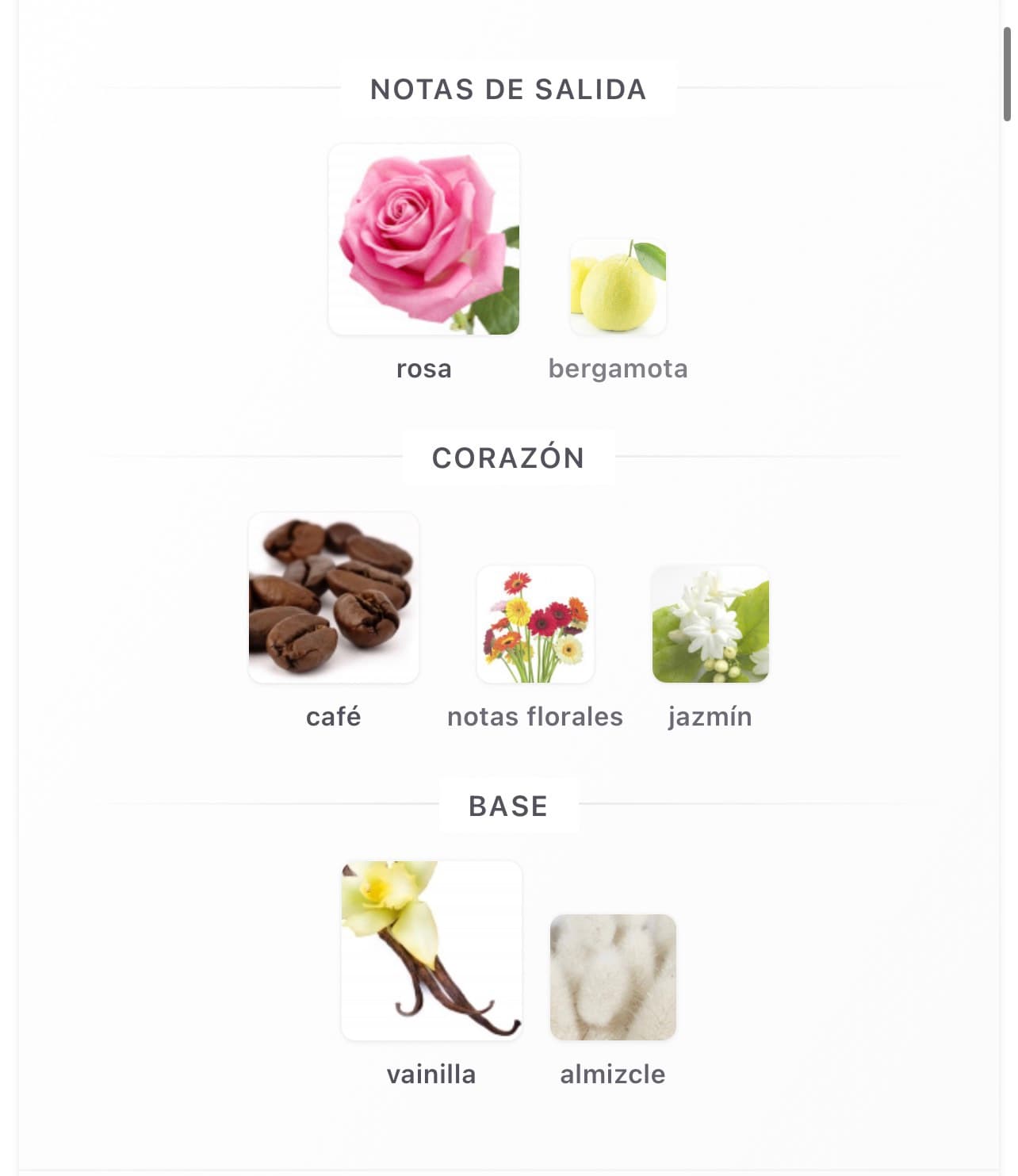 Miniatura de Arabesque