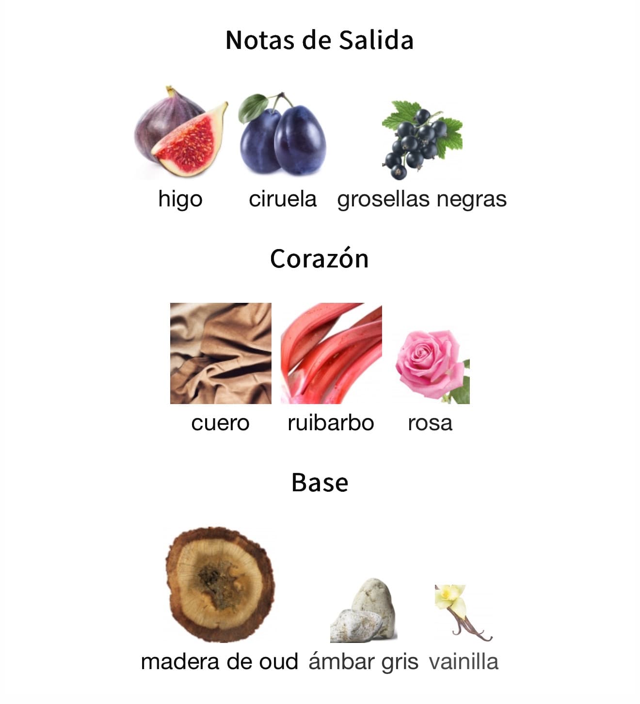 Miniatura de Art Of Nature I