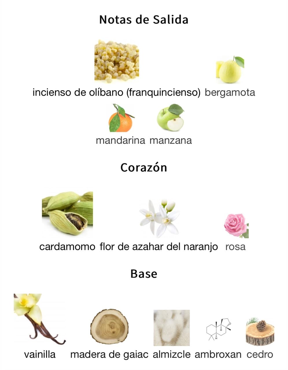 Miniatura de Art of Nature II