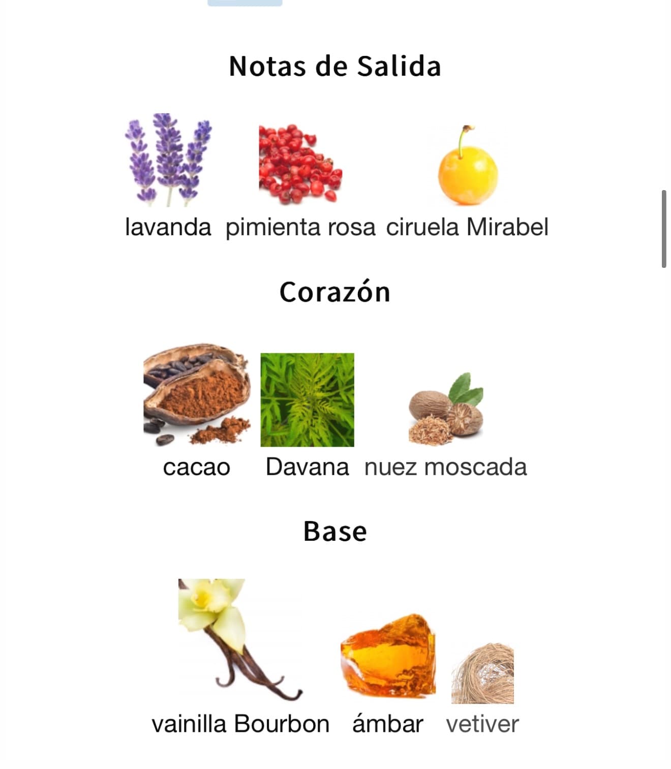 Miniatura de Asad Bourbon