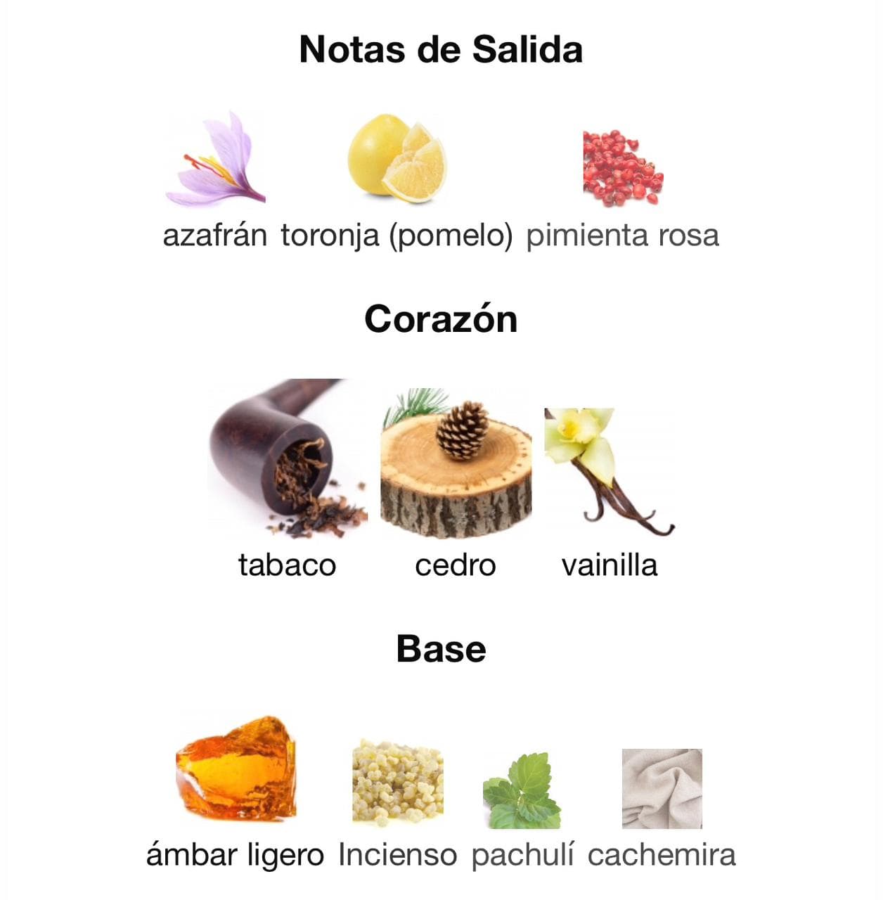 Miniatura de Asad Elixir