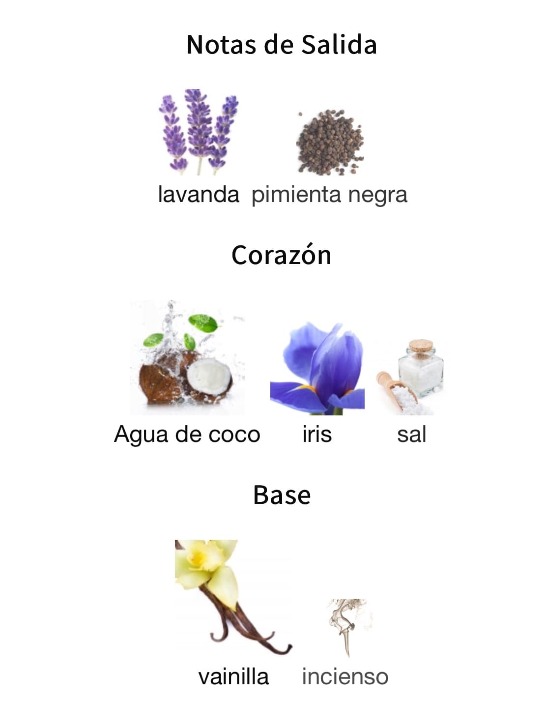 Miniatura de Asad Zanzíbar
