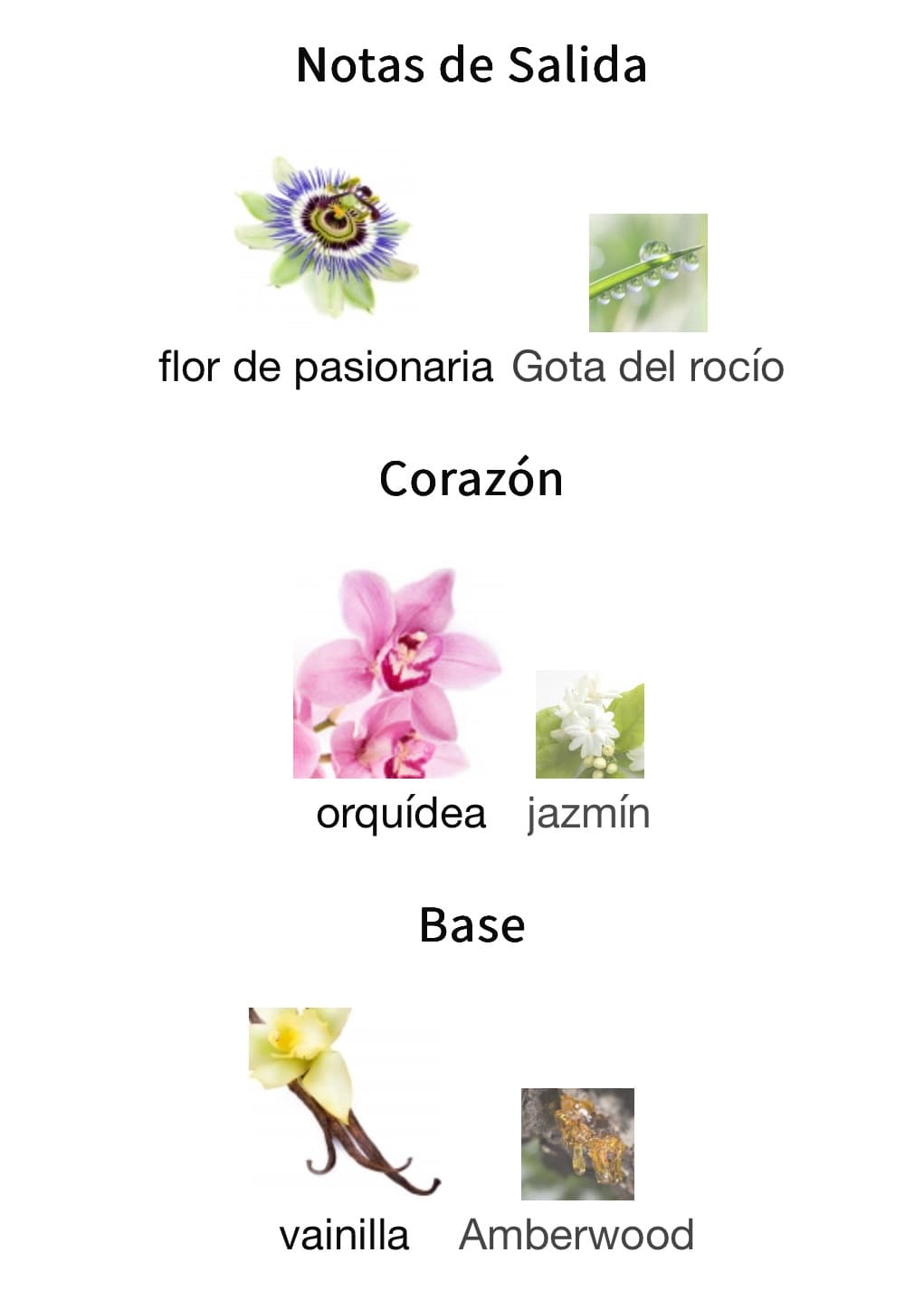 Miniatura de Atheeri (En Falta)
