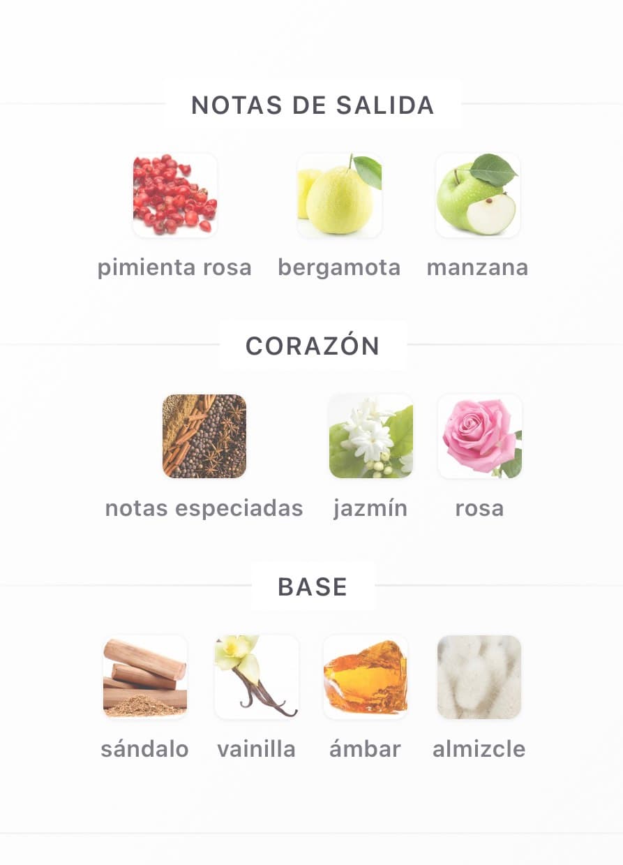 Miniatura de BAREQ