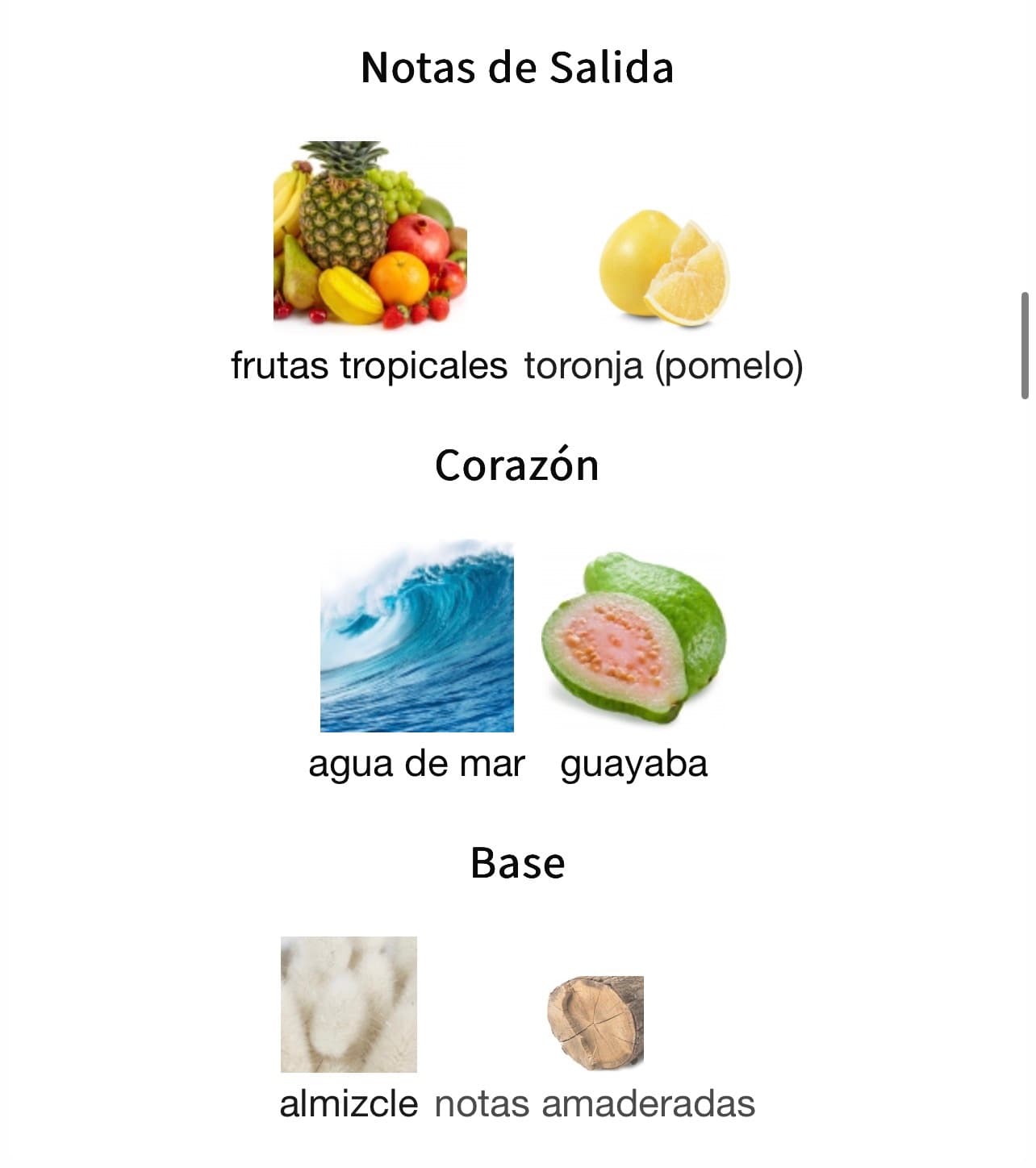 Miniatura de Beach Party