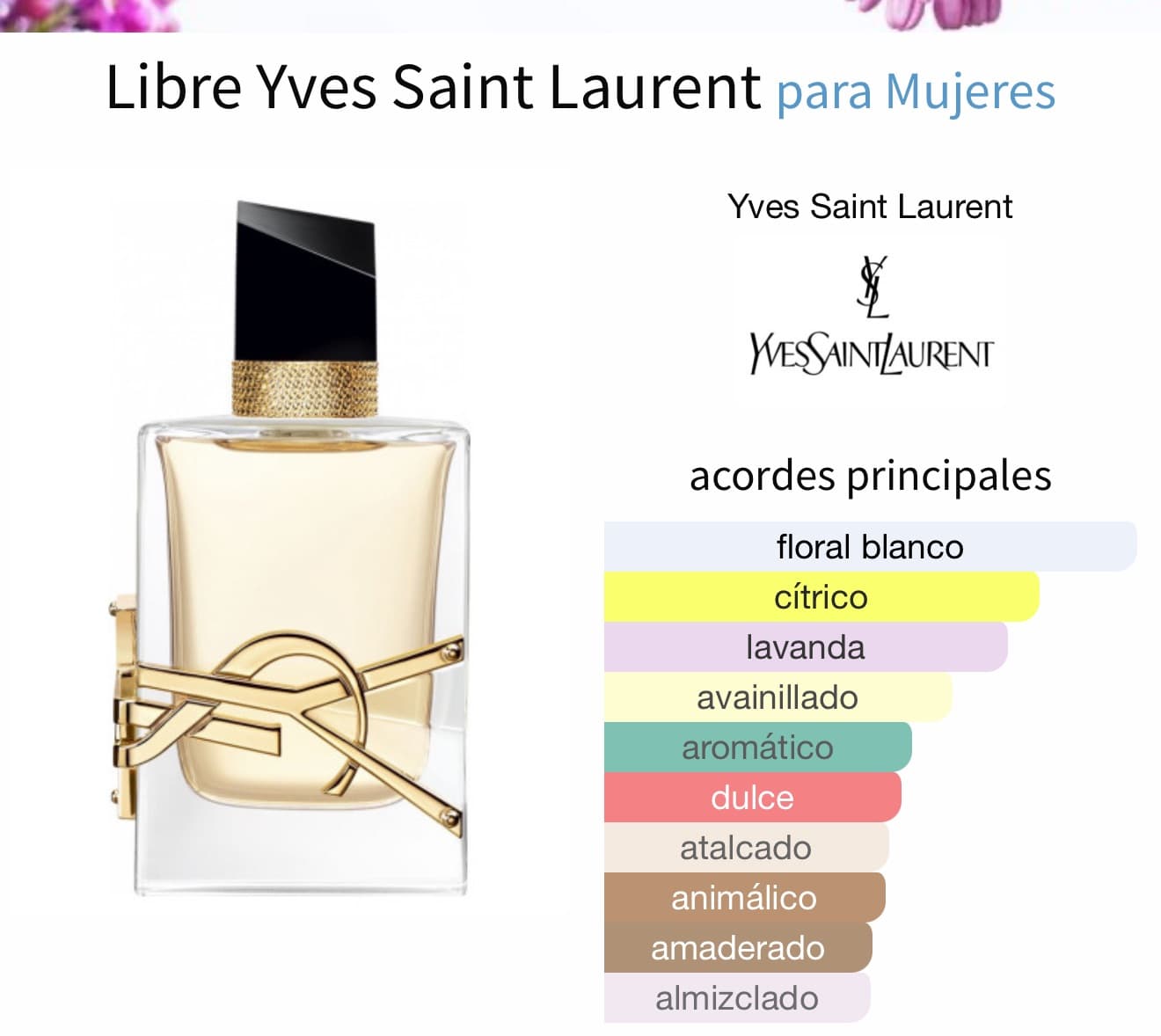 Miniatura de Belle Rouge
