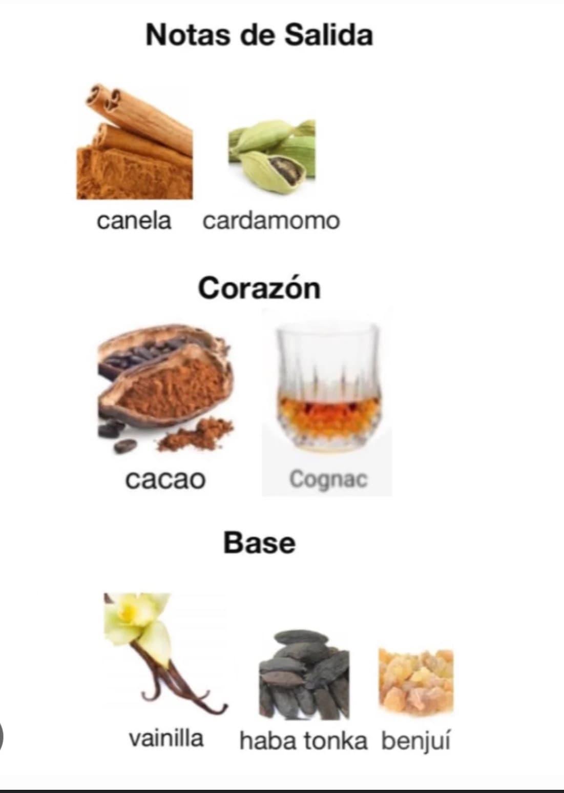 Miniatura de Bharara Chocolate