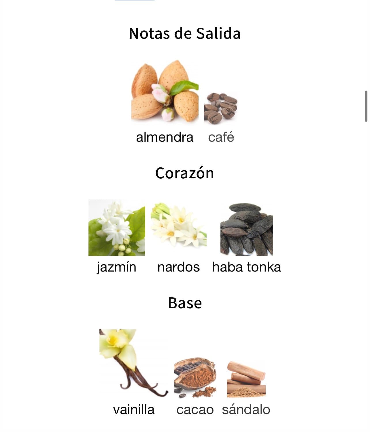 Miniatura de Bint Hooran