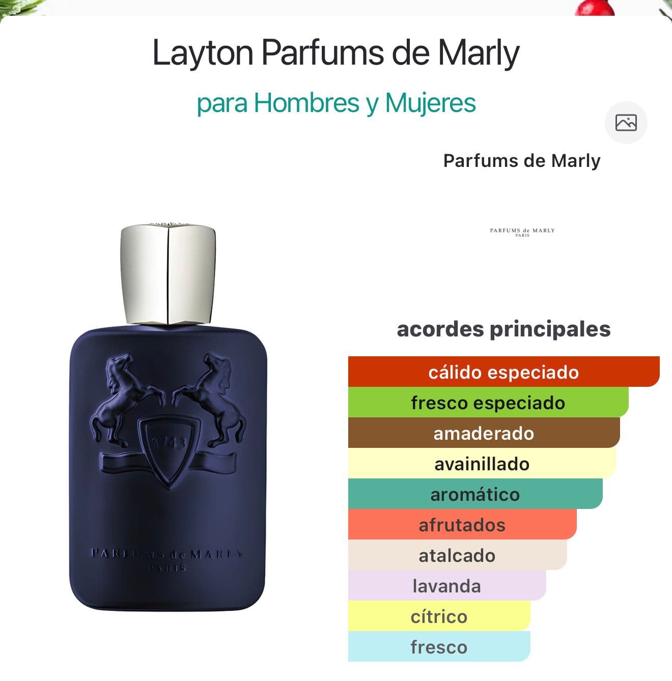Miniatura de Black Cavalier Seductive