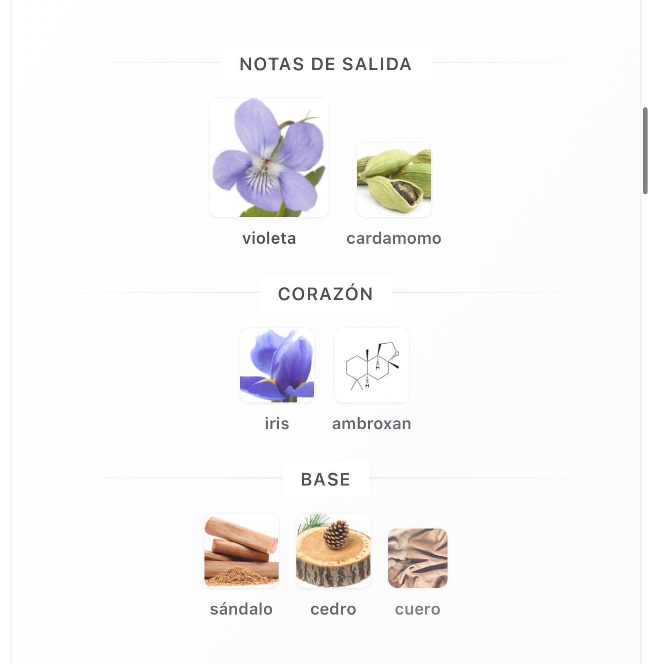 Miniatura de Blind Bid