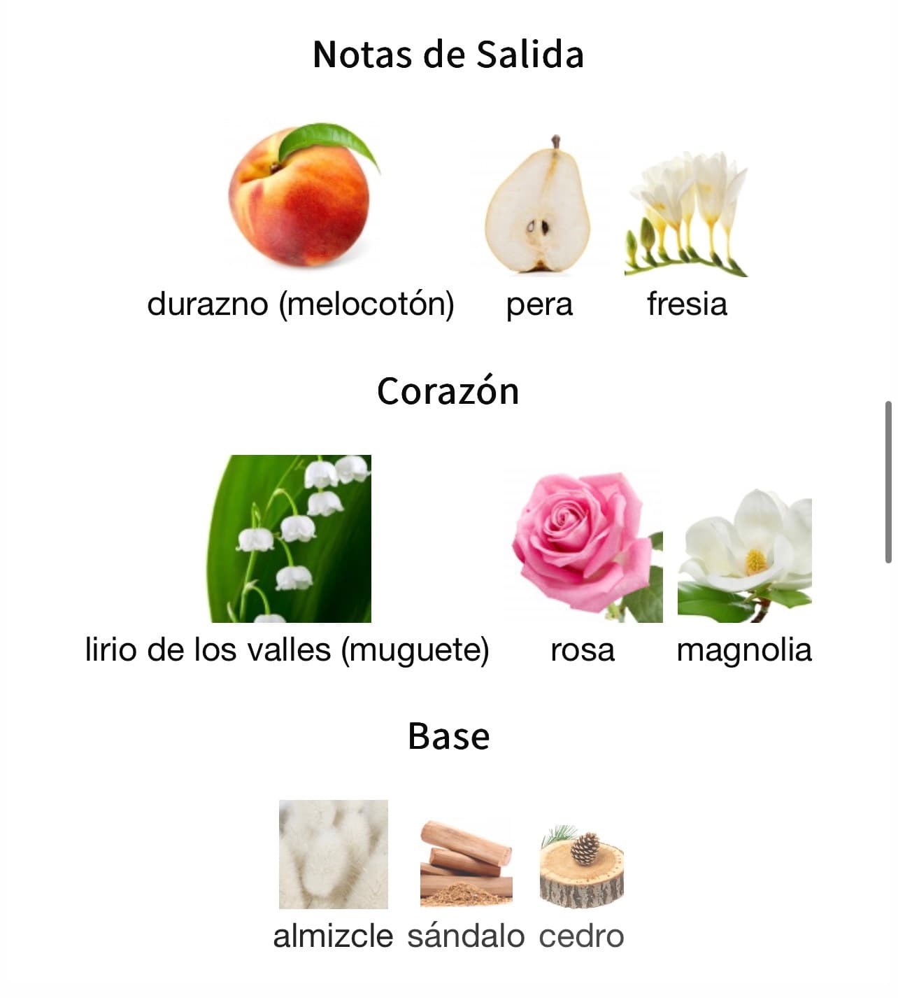 Miniatura de Bloom Bloom