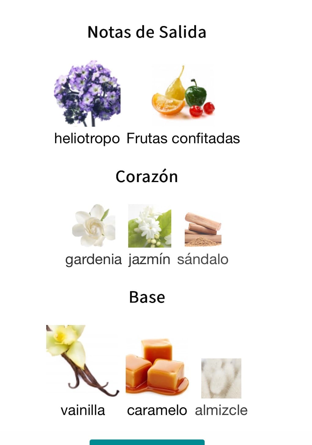 Miniatura de Bouquet Of Euphoria