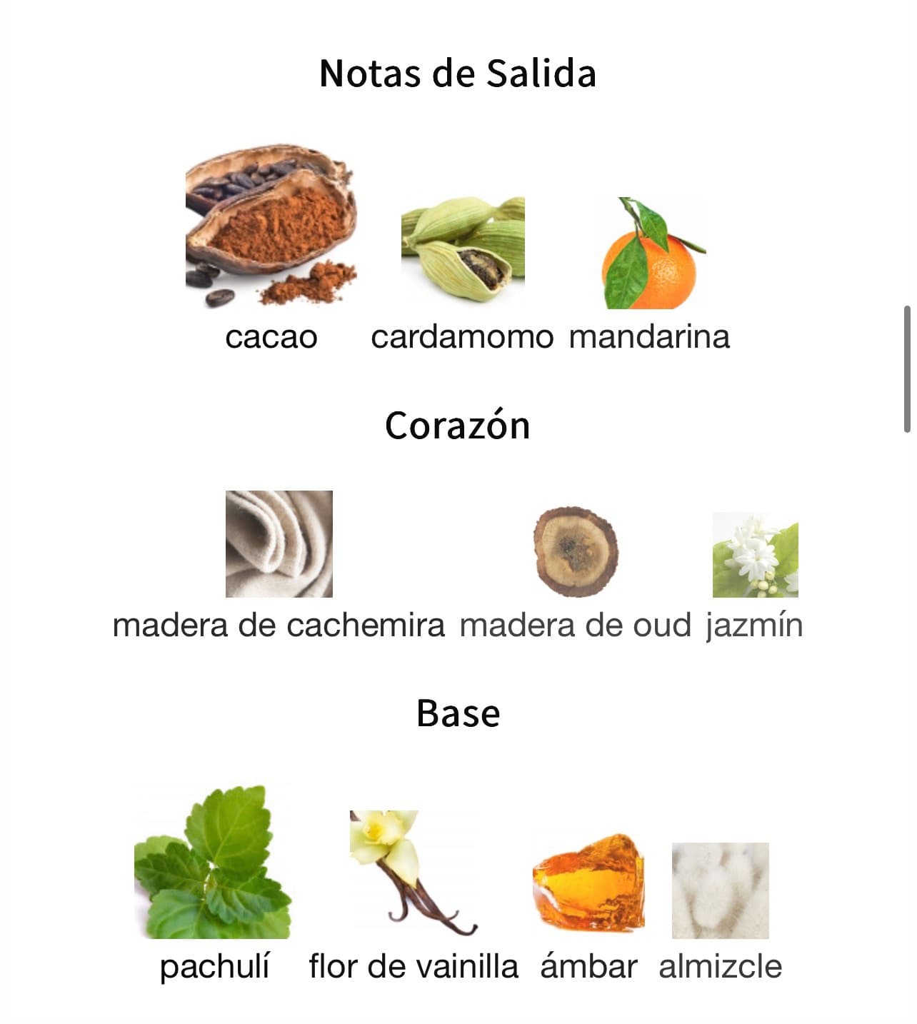 Miniatura de Cacao