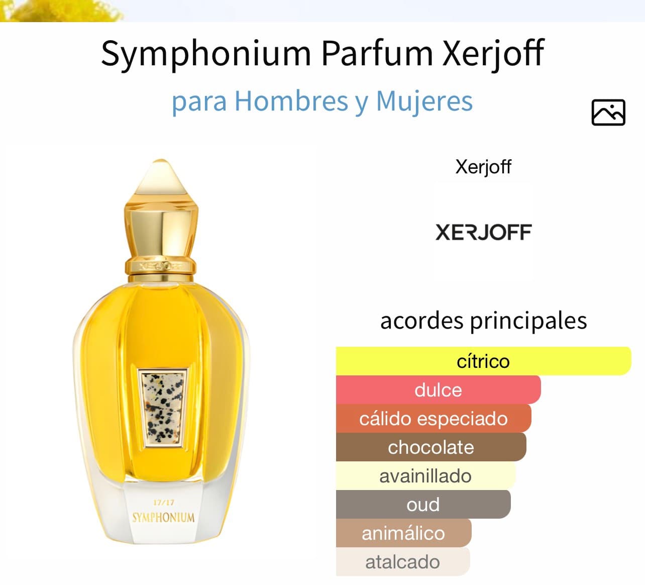 Miniatura de Cacao