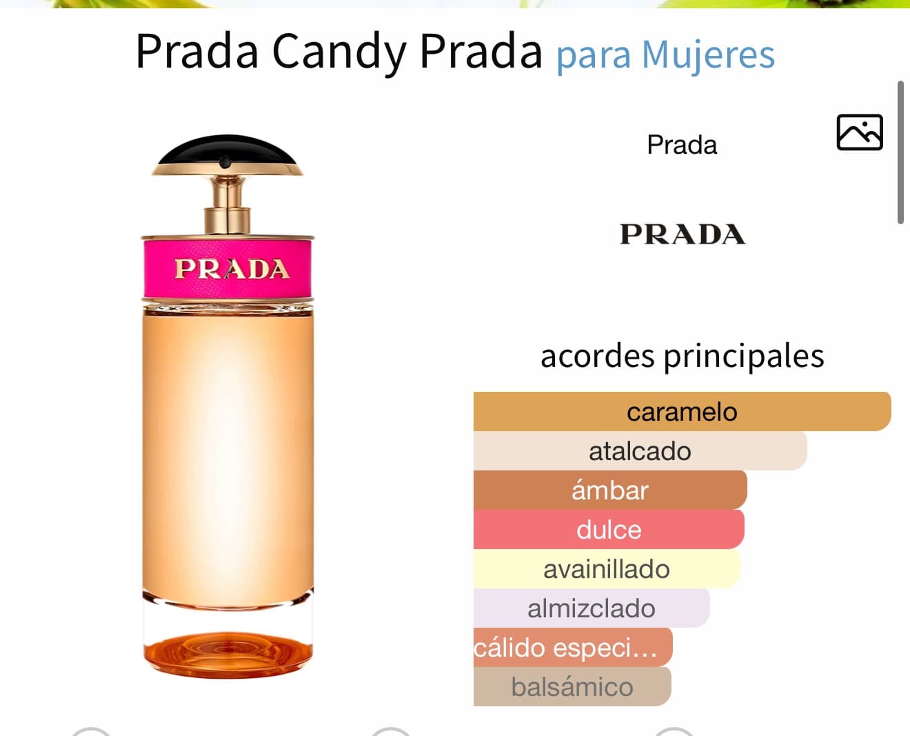 Miniatura de Caramela