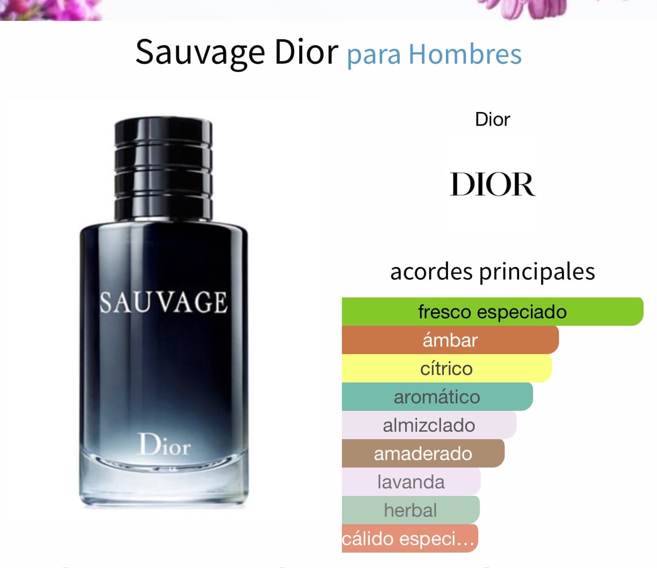 Miniatura de Club de Nuit Urban Elixir