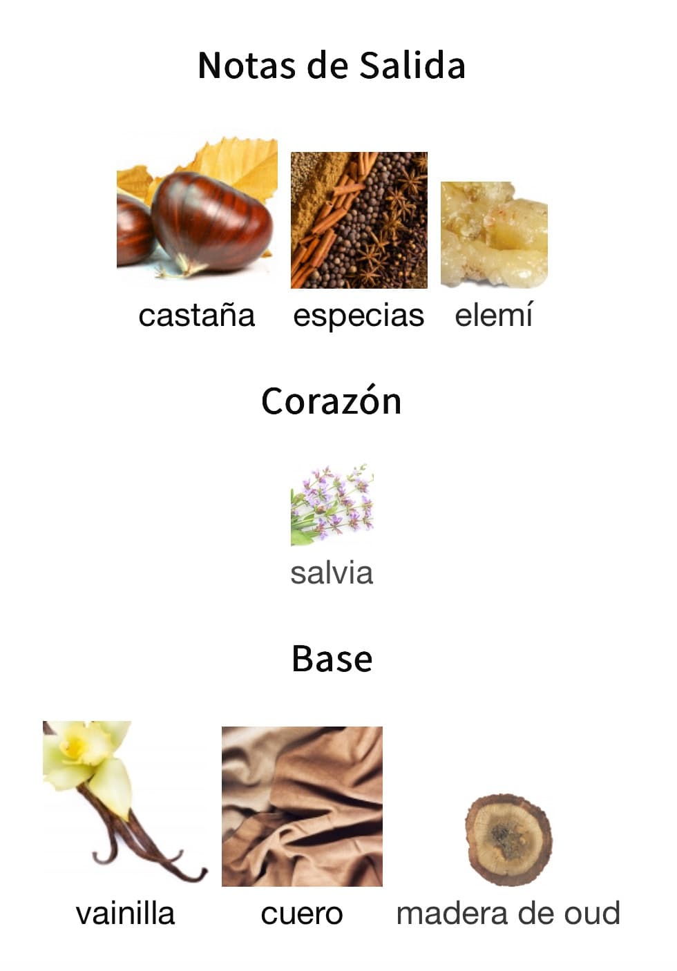 Miniatura de CORIUM