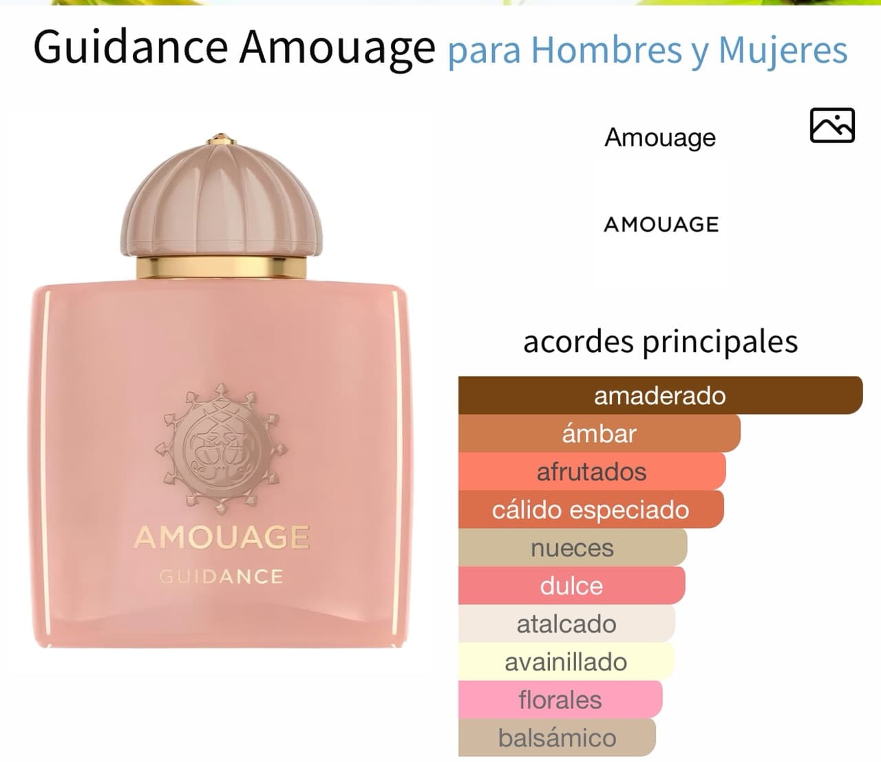 Miniatura de Decadent Dream