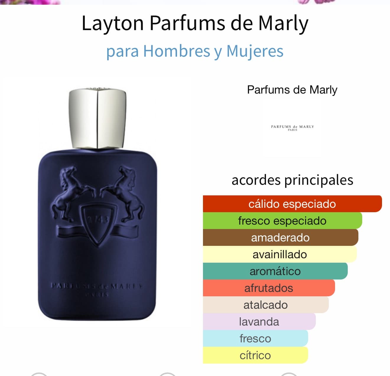 Miniatura de Detour Noir