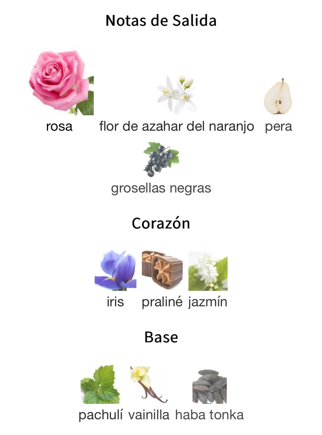 Miniatura de Dirham Wardi