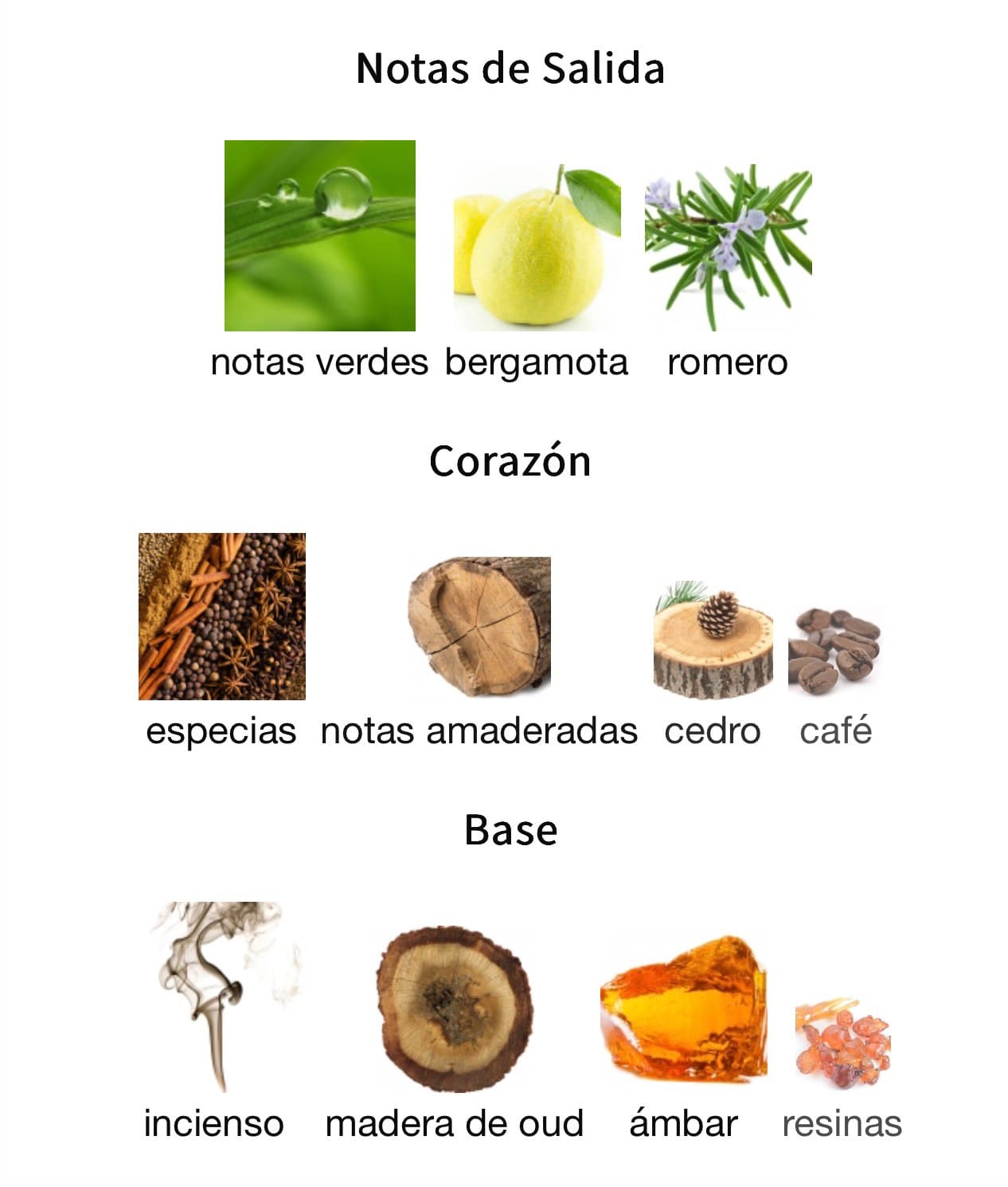 Miniatura de Discover