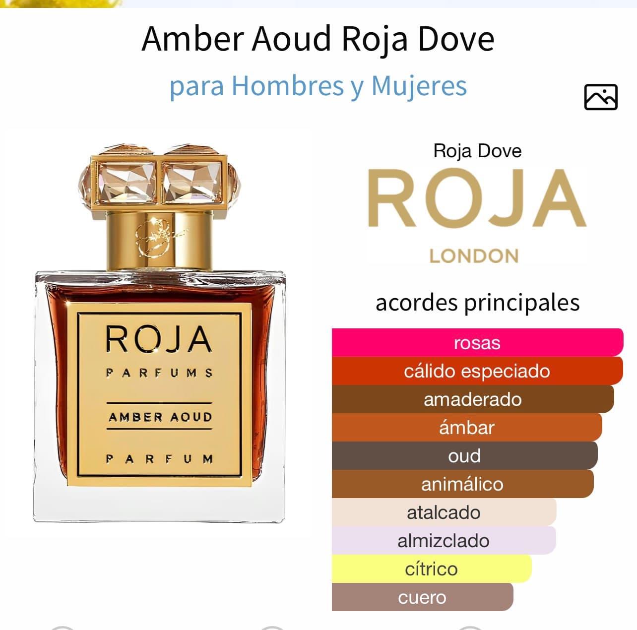 Miniatura de Divin Aoud