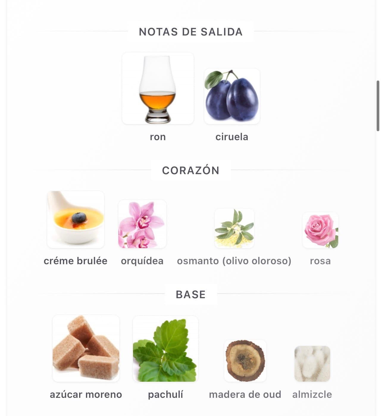 Miniatura de Elysia Sugar Patchouli