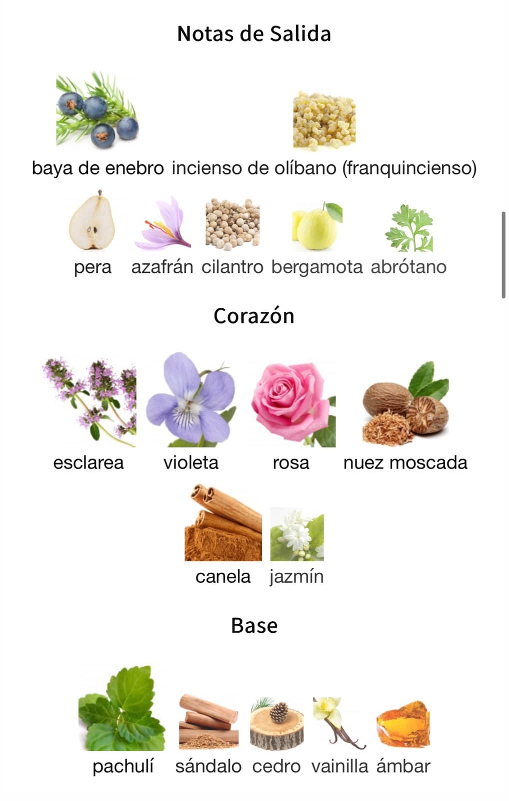 Miniatura de Energy Sabeel
