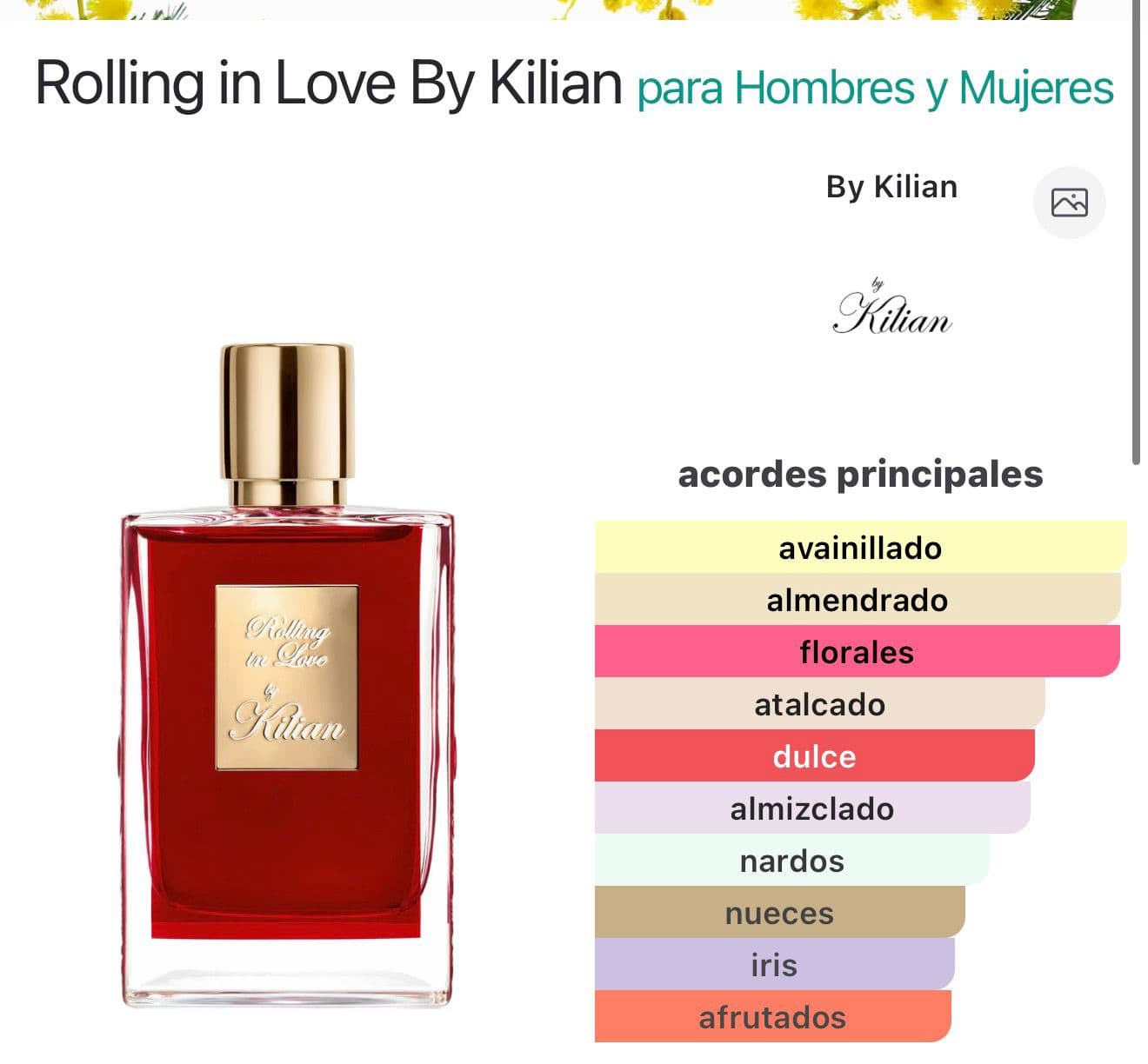 Miniatura de Falling in Love