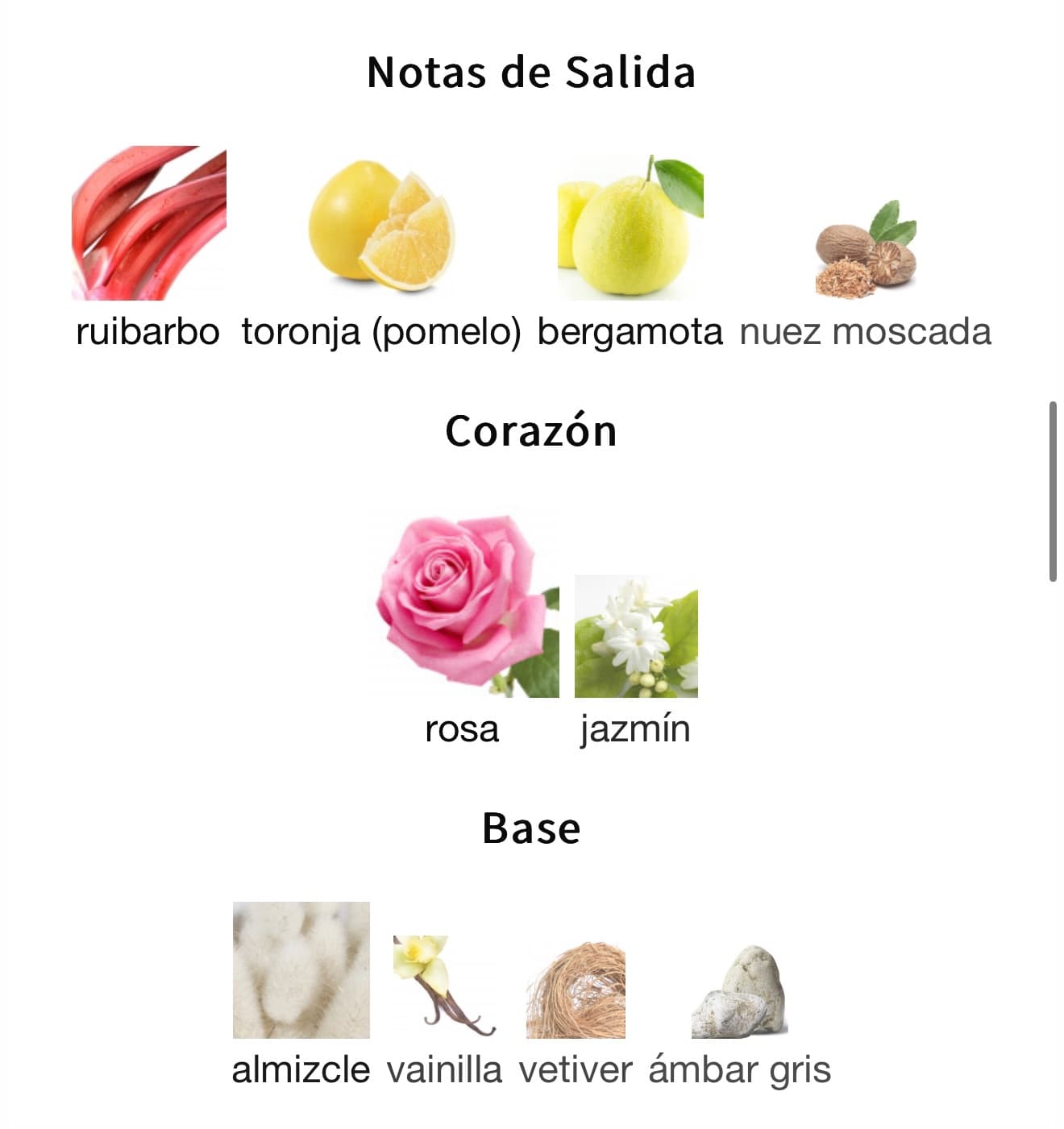 Miniatura de Fatima pink