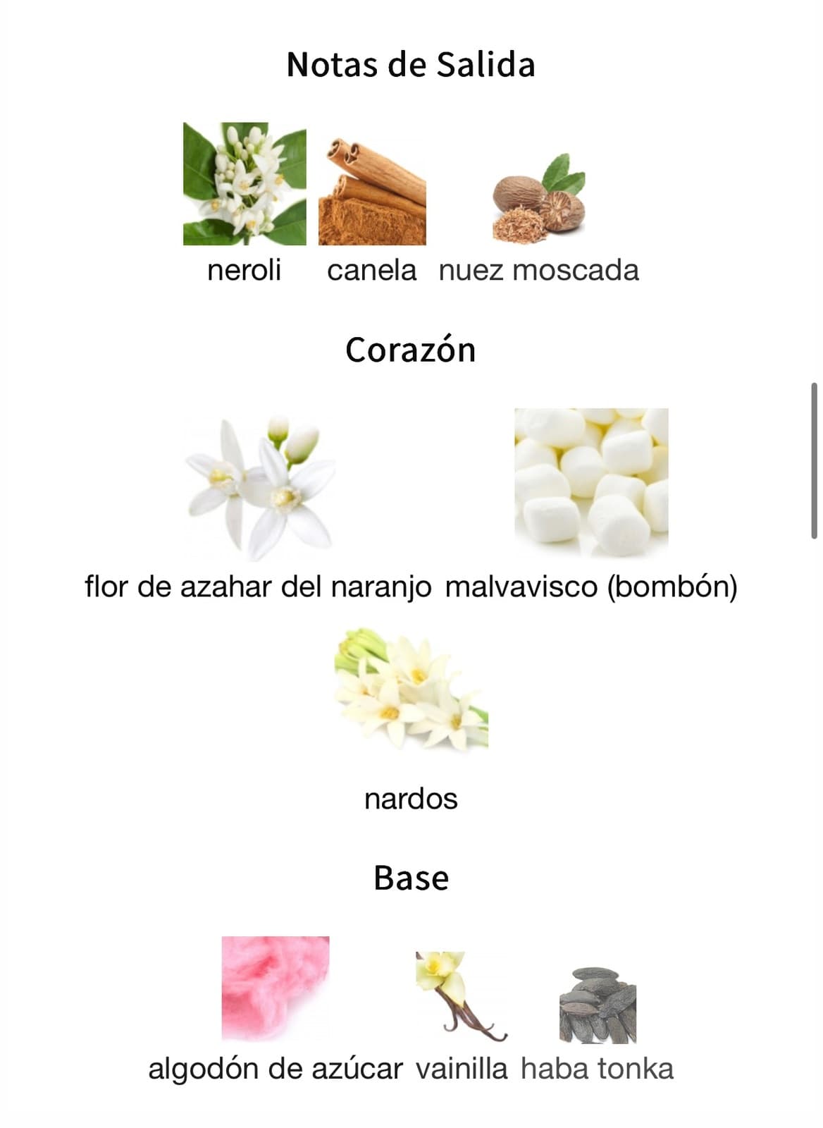 Miniatura de Hawas Pink