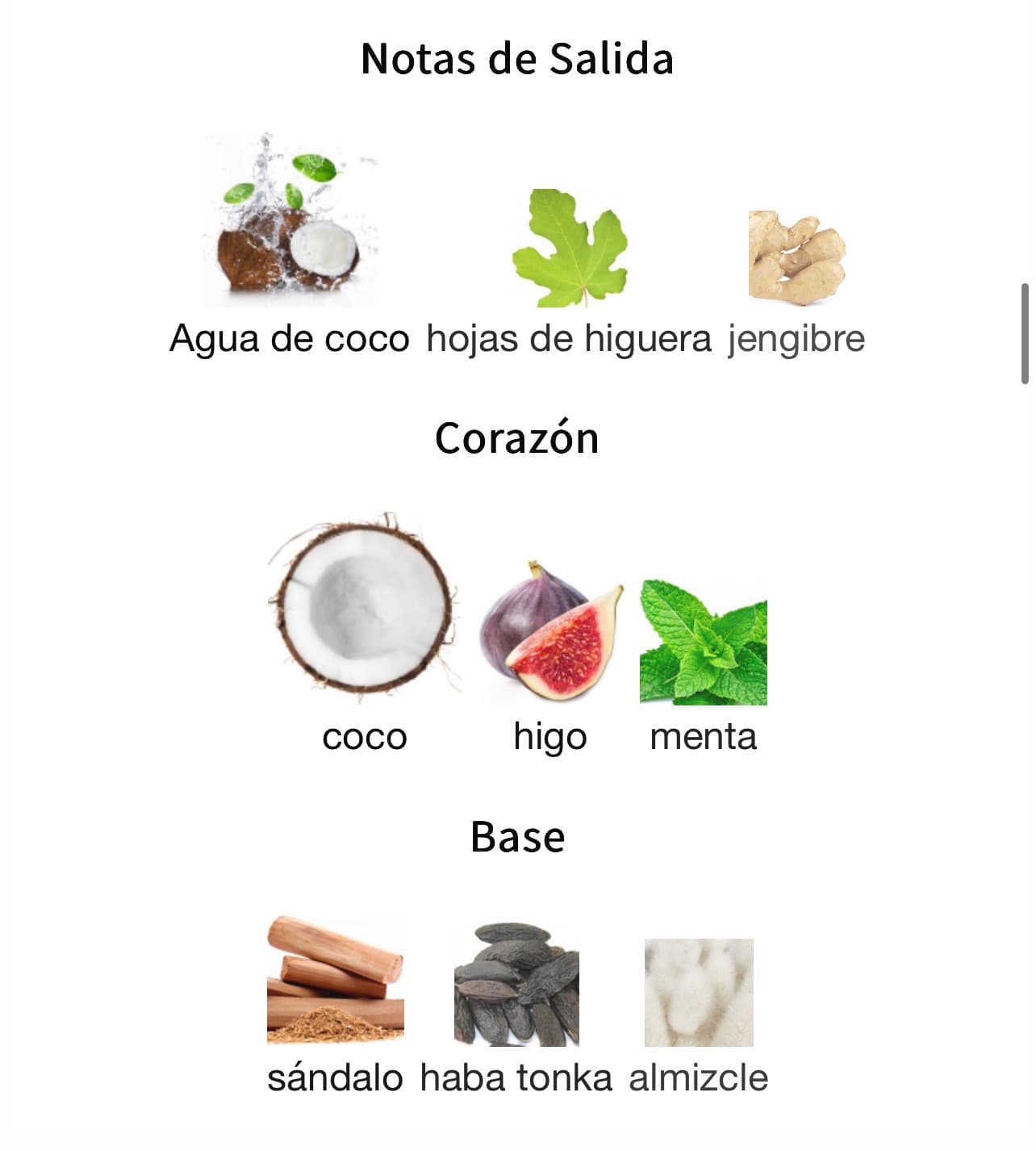 Miniatura de Hawas Tropical