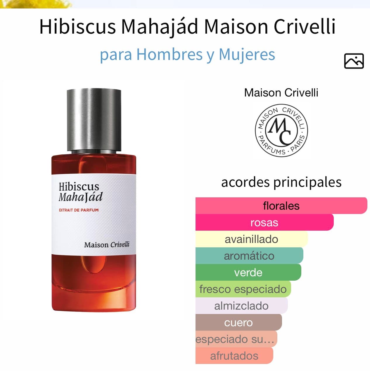 Miniatura de Ibisco Nirvana