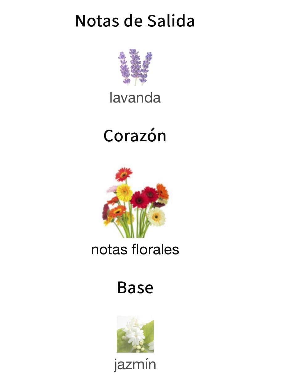 Miniatura de Irish Lavender